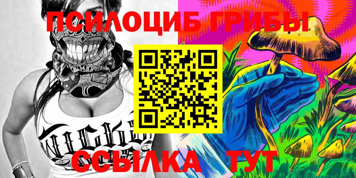 Псилоцибиновые грибы Cubensis Звенигород